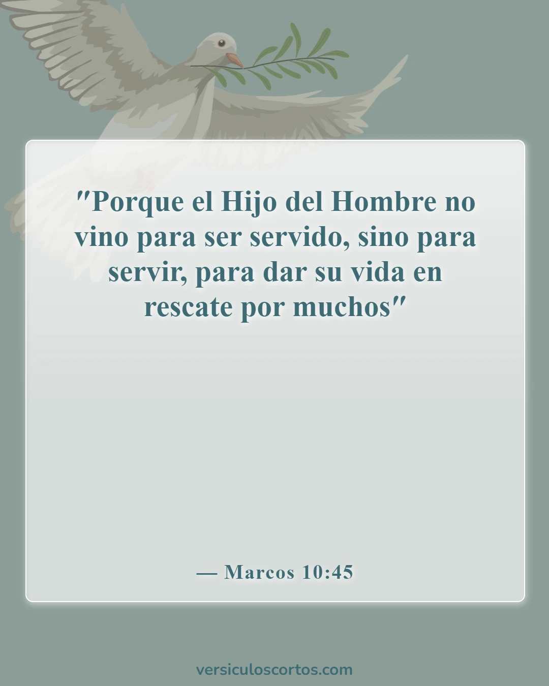 Versículos de la Biblia sobre Jesucristo (Marcos 10:45)