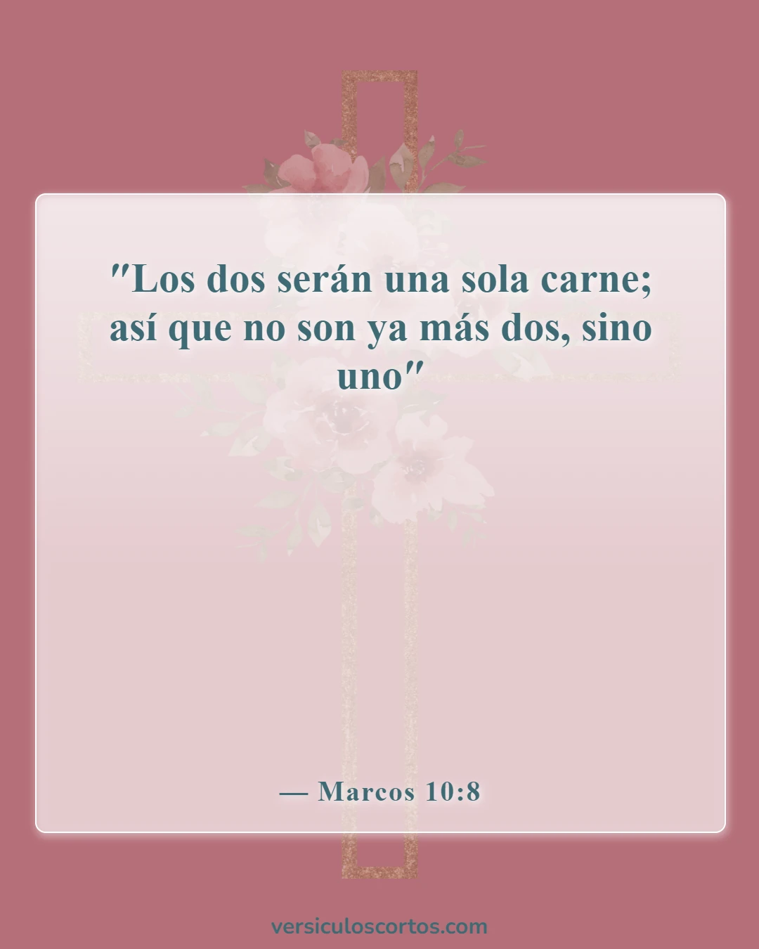 Versículos de la Biblia sobre el divorcio (Marcos 10:8)