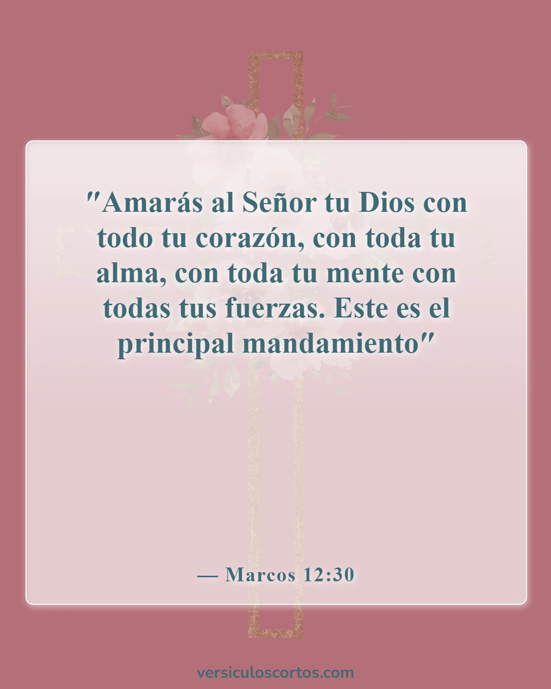 Versículos de la Biblia sobre el verdadero cristiano (Marcos 12:30)