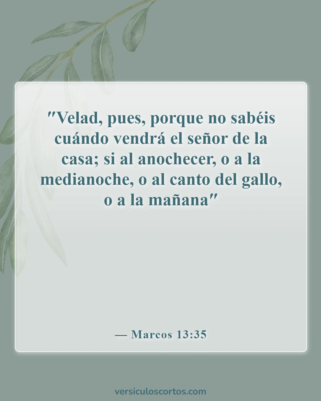 Versículos de la Biblia sobre la segunda venida de Jesús (Marcos 13:35)