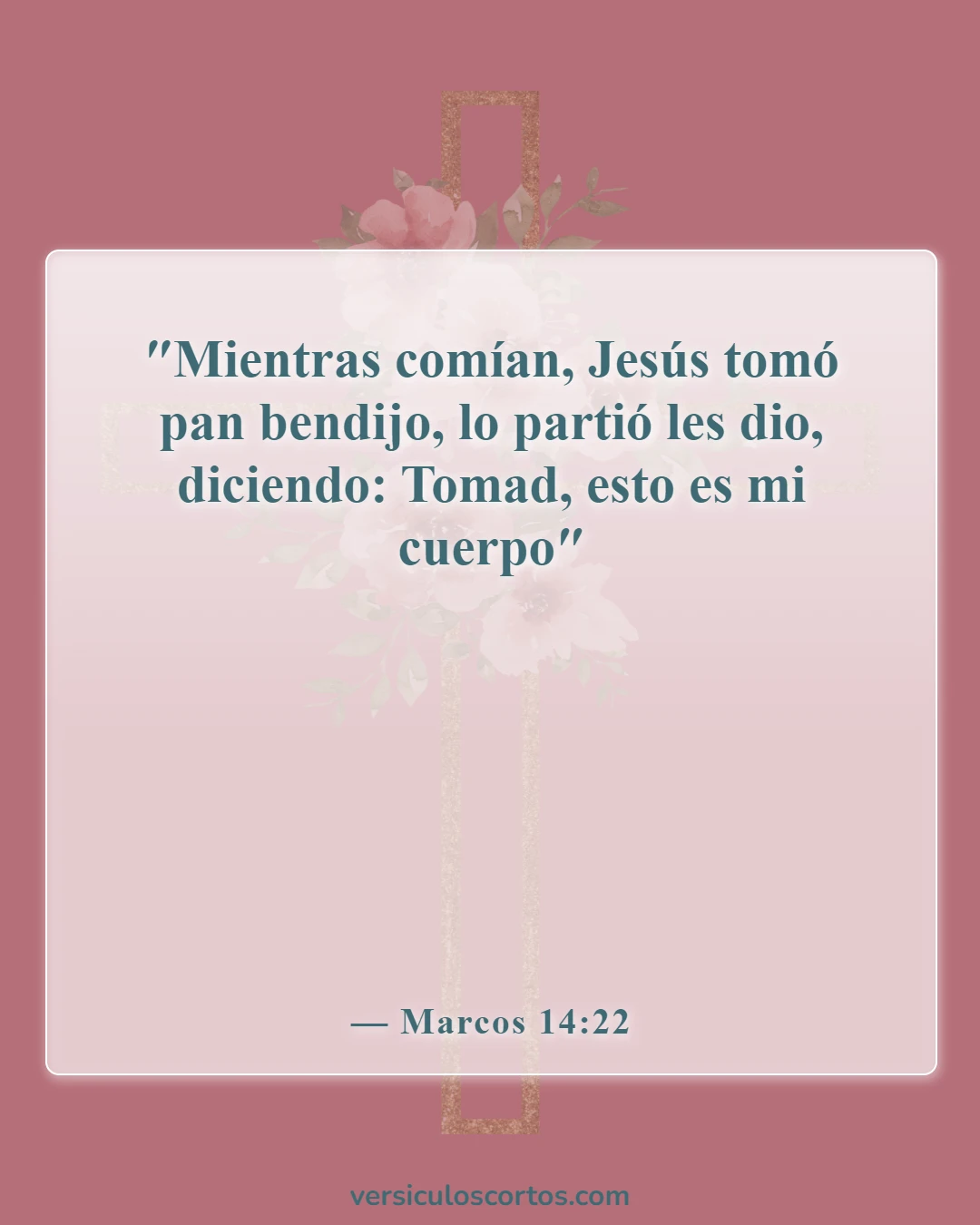 Versículos de la Biblia sobre la vida de Cristo (Marcos 14:22)