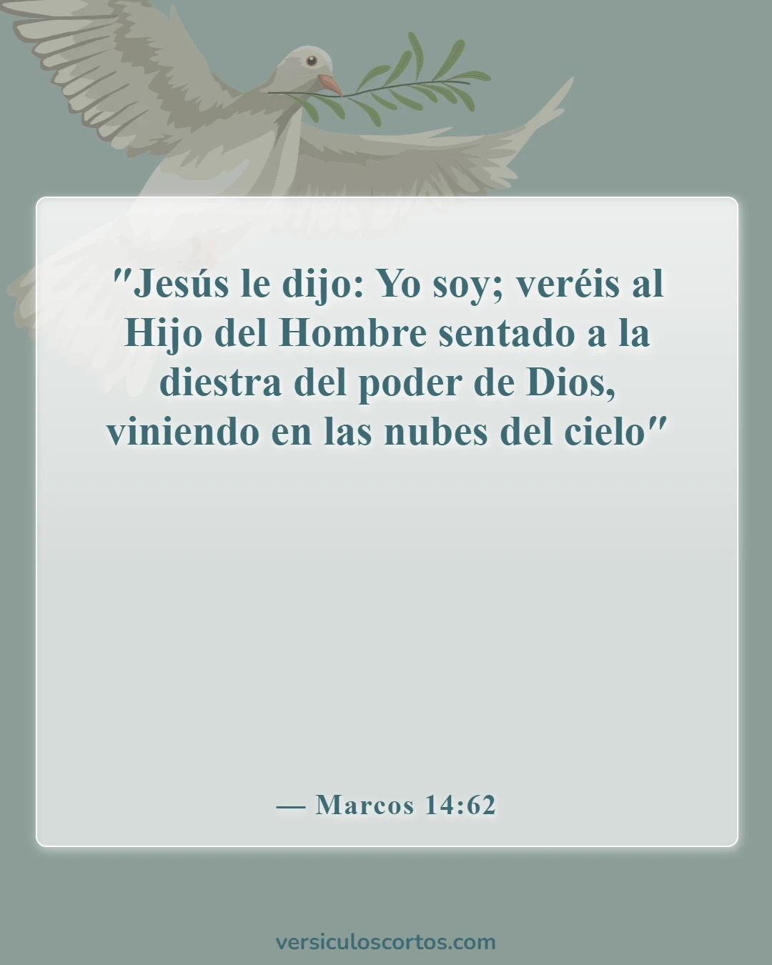 Versículos de la Biblia sobre Yo Soy (Marcos 14:62)