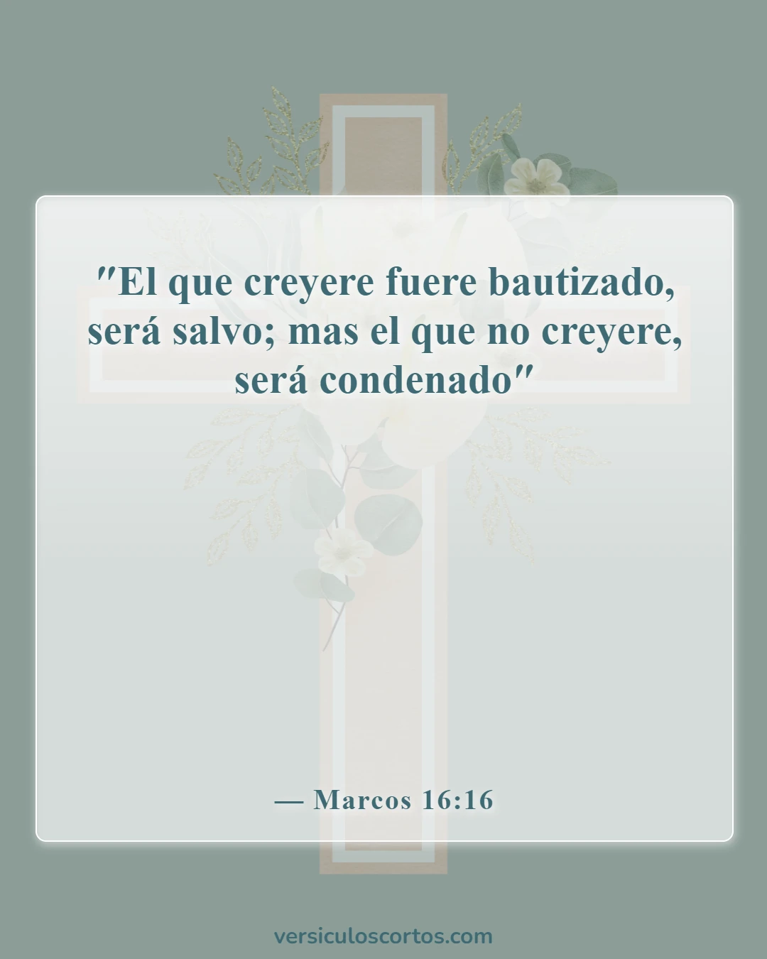 Versículos bíblicos sobre la salvación (Marcos 16:16)
