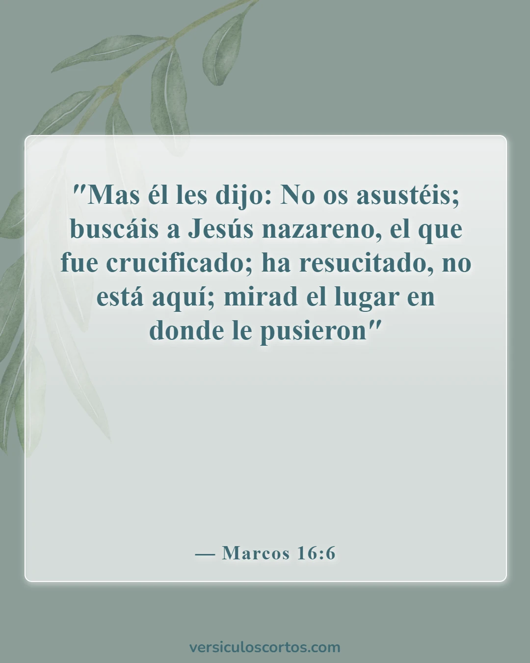 Versículos de la Biblia sobre la vida de Cristo (Marcos 16:6)