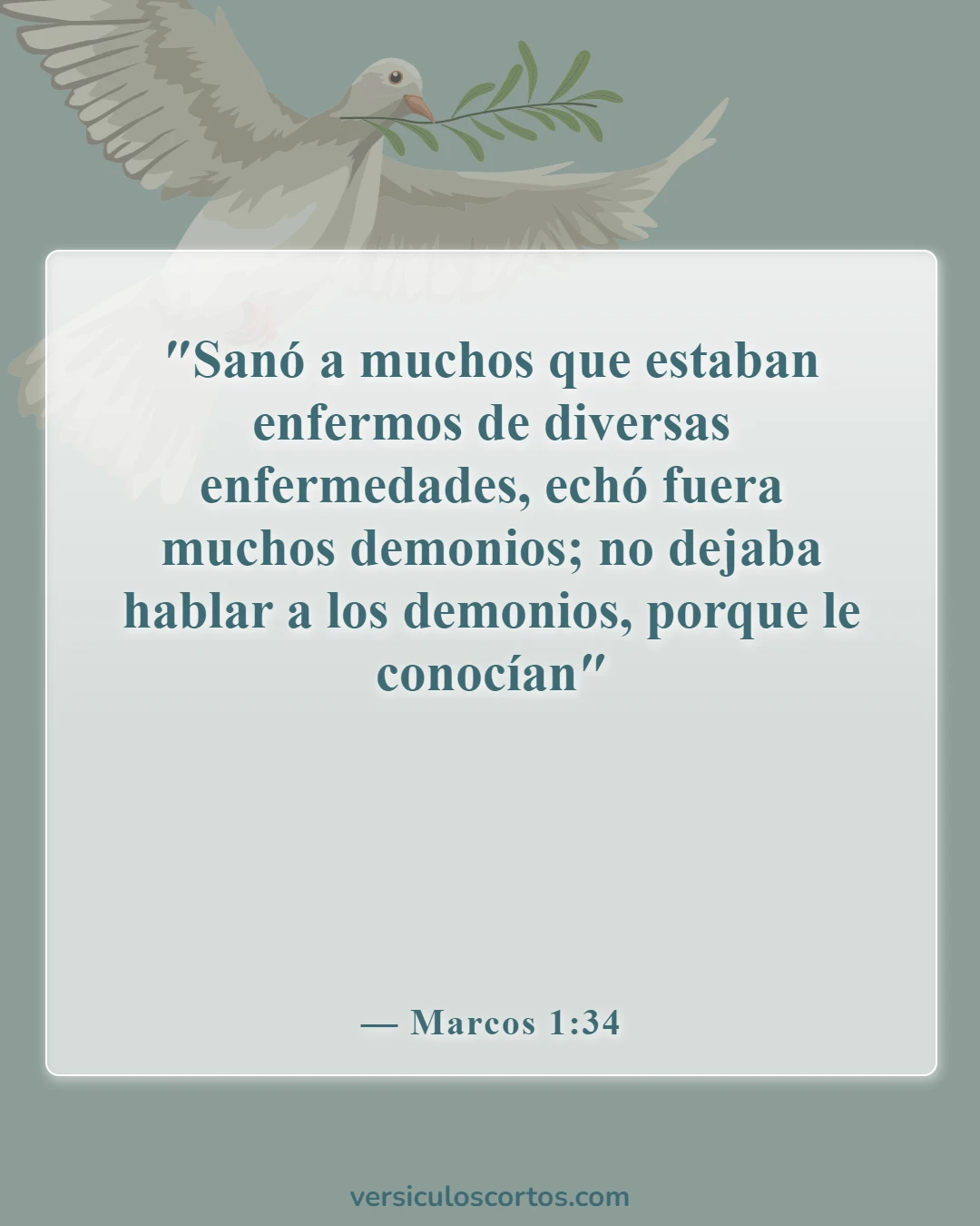 Versículos de la Biblia sobre demonios (Marcos 1:34)