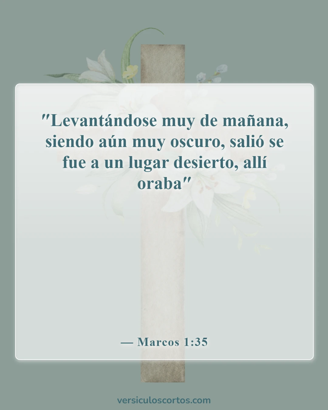 Versículos de la Biblia sobre pasar tiempo con Dios (Marcos 1:35)