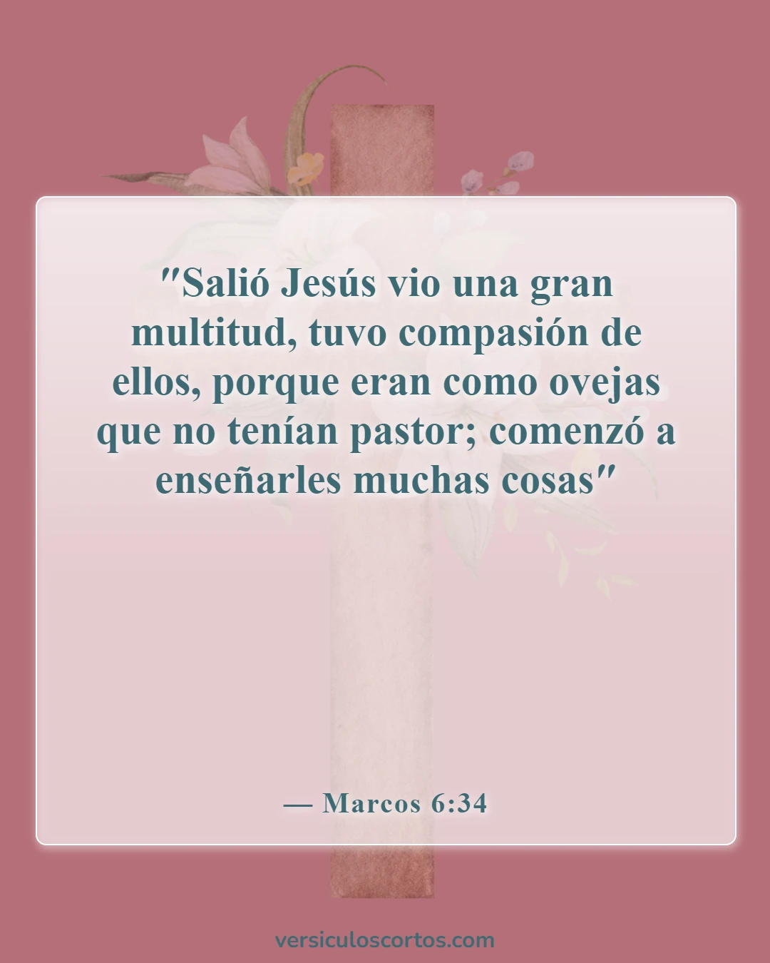 Versículos de la Biblia sobre la compasión hacia los demás (Marcos 6:34)