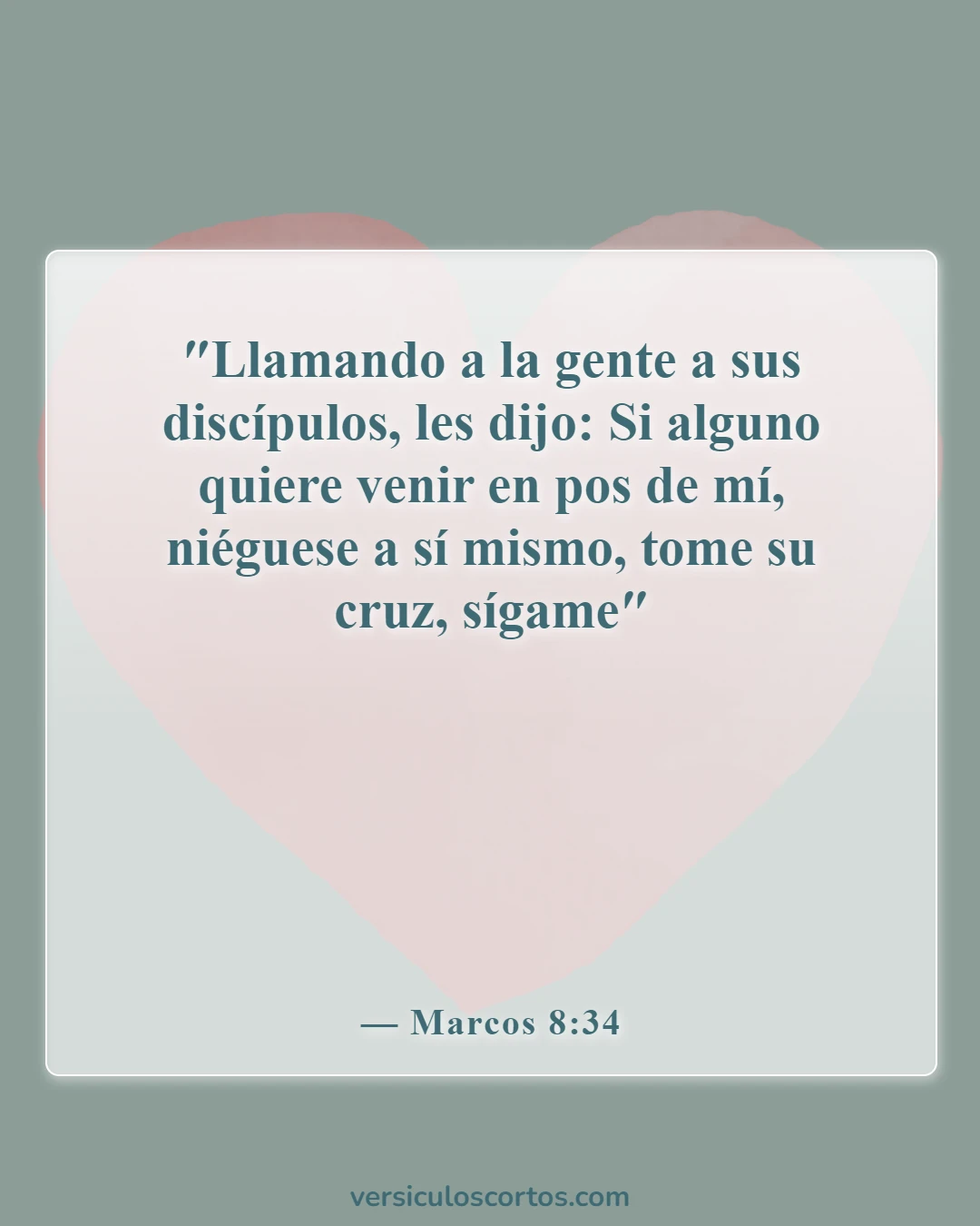 Versículos de la Biblia sobre seguir a Jesús (Marcos 8:34)