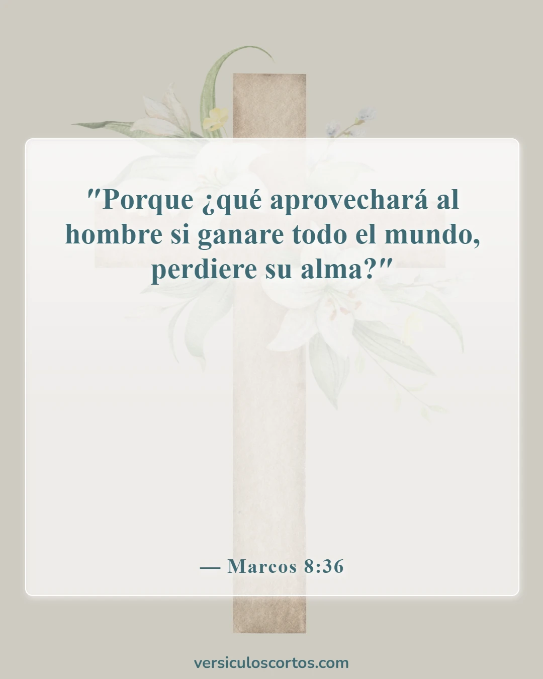 Versículos bíblicos sobre posesiones terrenales (Marcos 8:36)