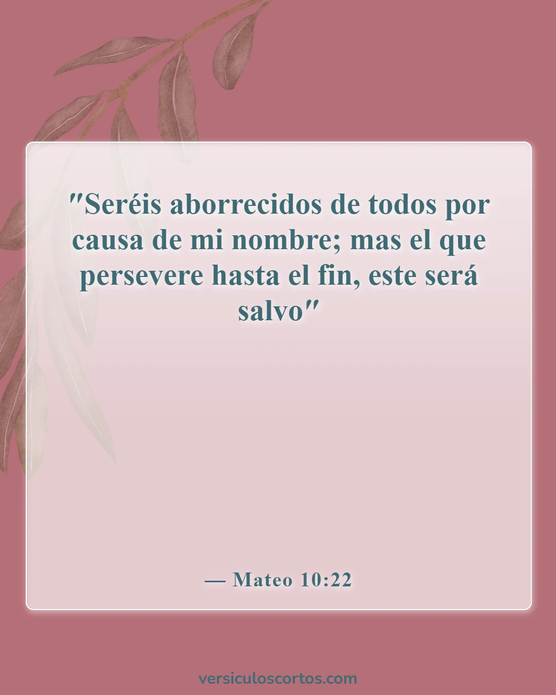Versículos de la Biblia sobre las personas que no te quieren (Mateo 10:22)