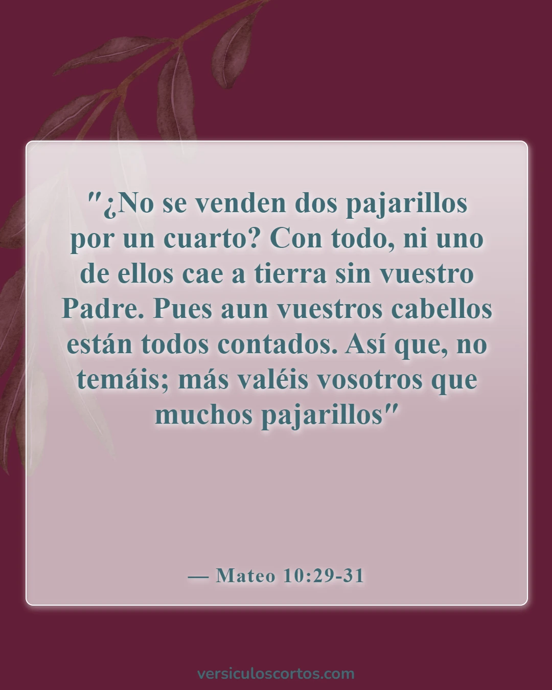 Versículos de la Biblia sobre que Dios tiene el control (Mateo 10:29-31)
