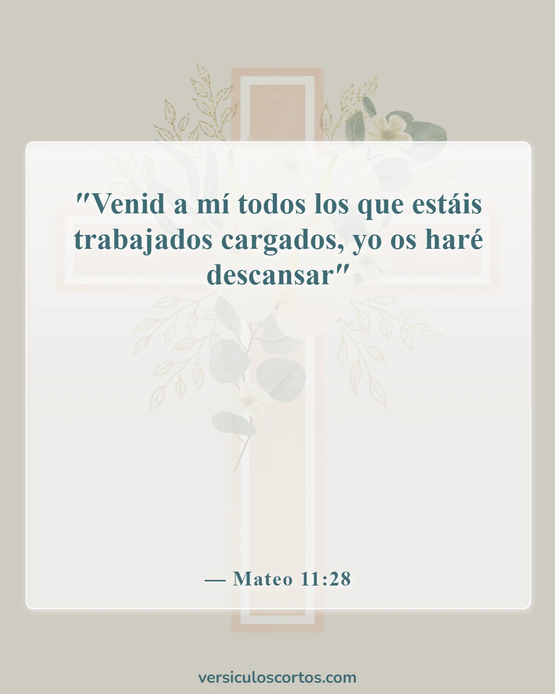 Versículos de la Biblia sobre Jesucristo (Mateo 11:28)