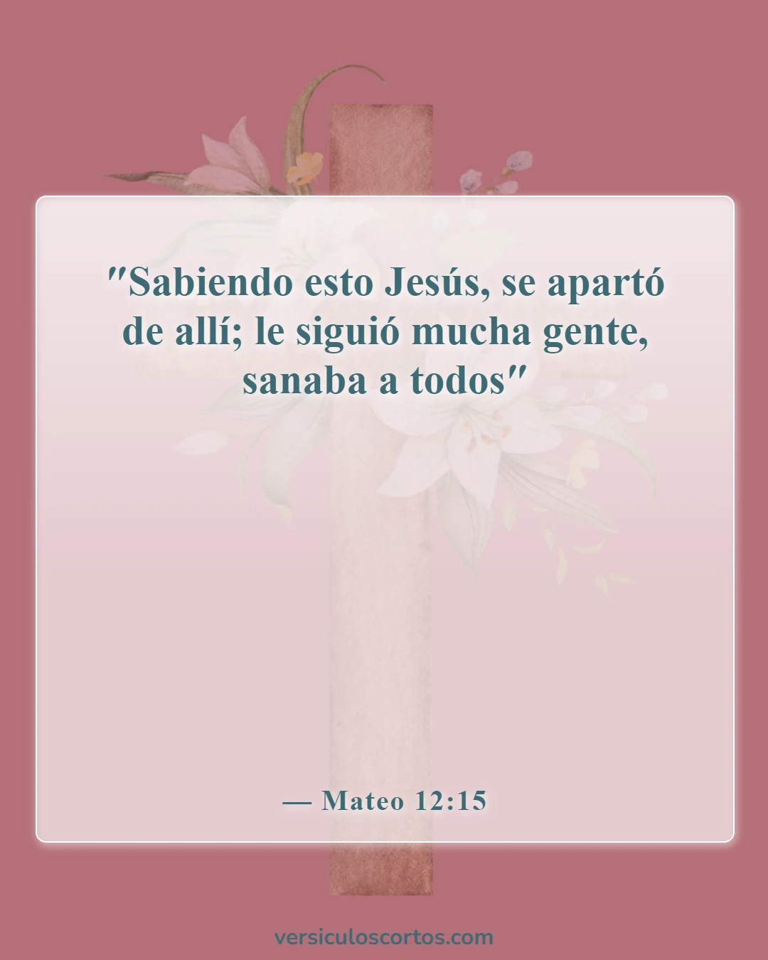 Versículos de la Biblia sobre la sanidad divina (Mateo 12:15)