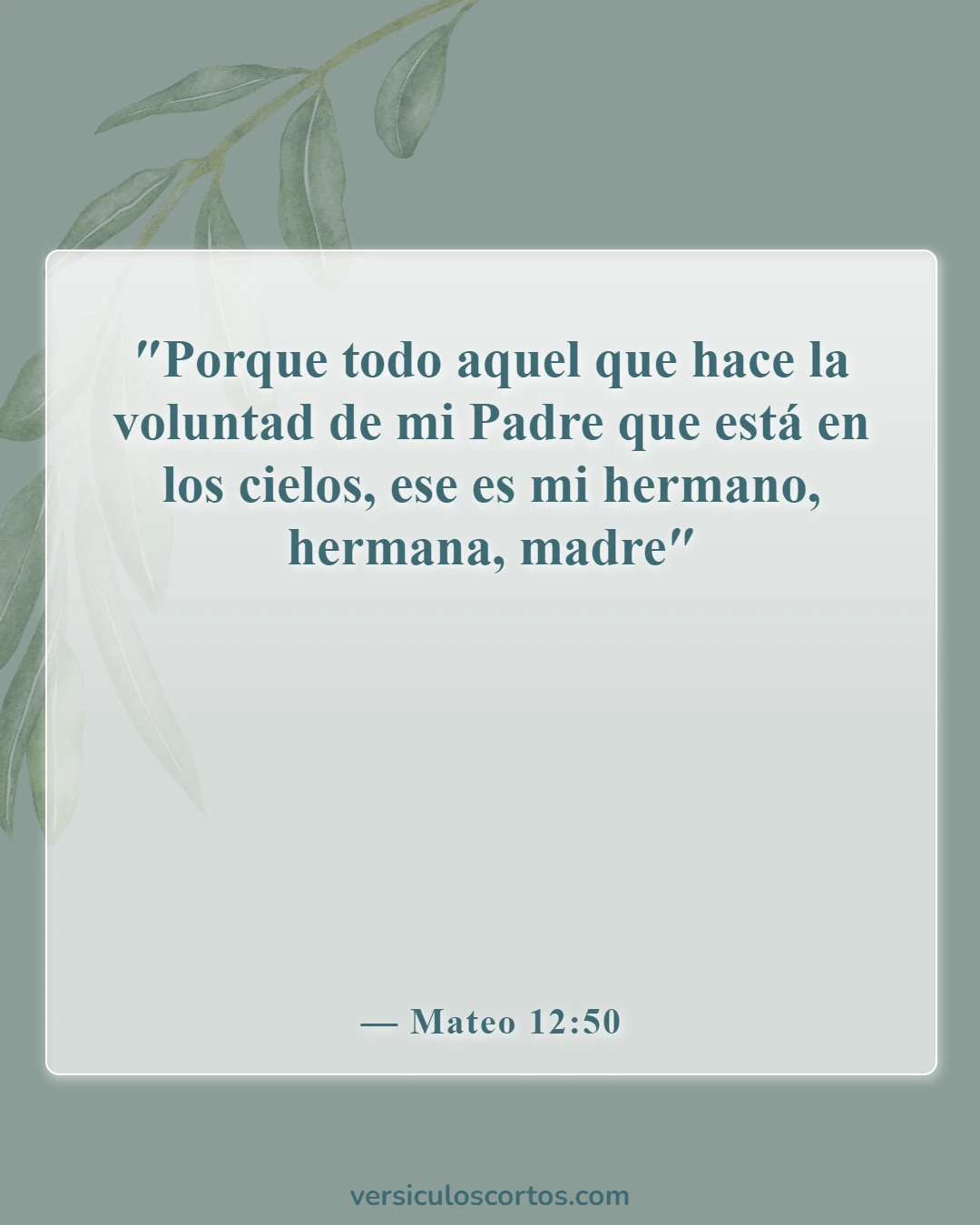Versículos bíblicos sobre la obediencia a Dios (Mateo 12:50)