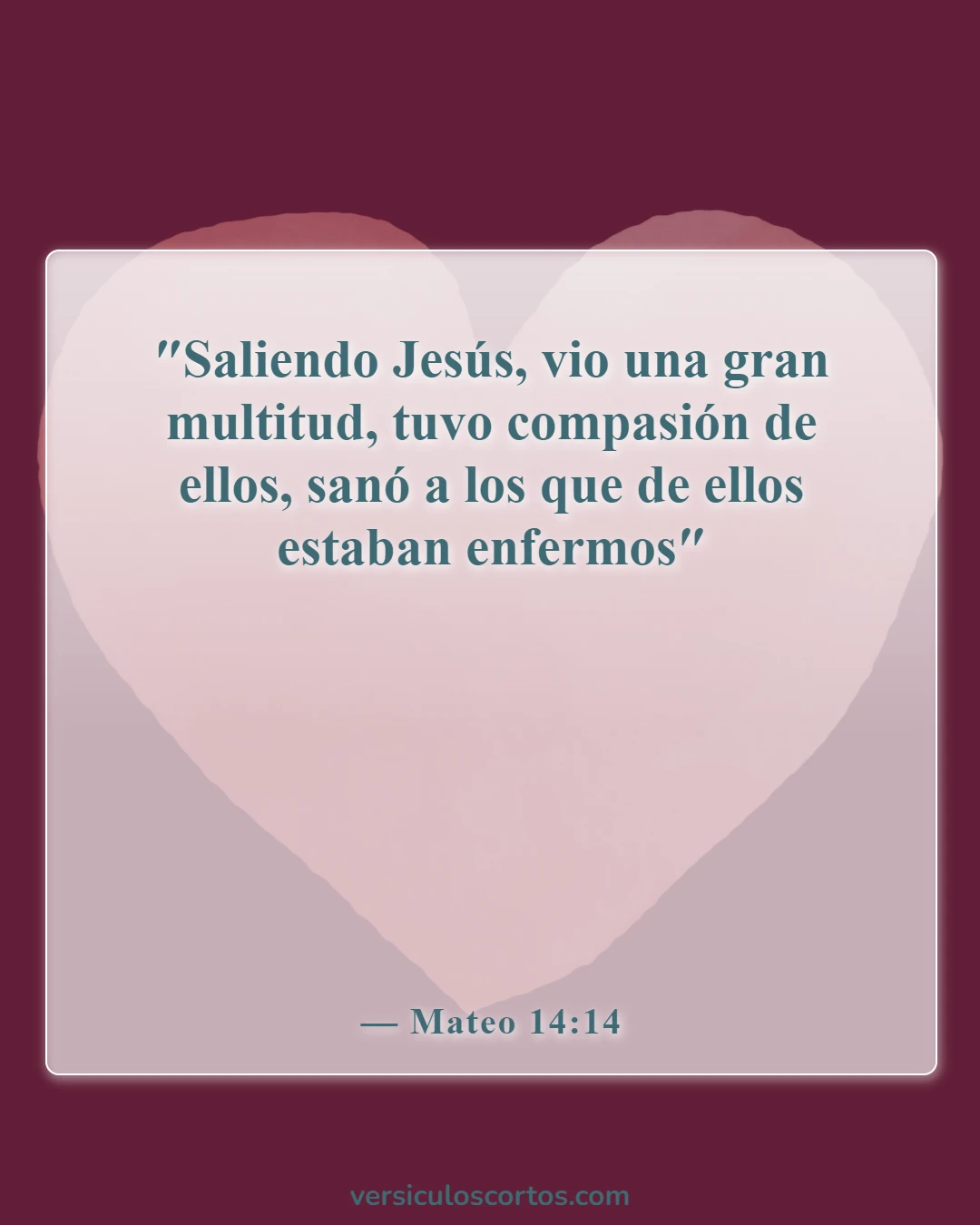 Versículos de la Biblia sobre la compasión hacia los demás (Mateo 14:14)