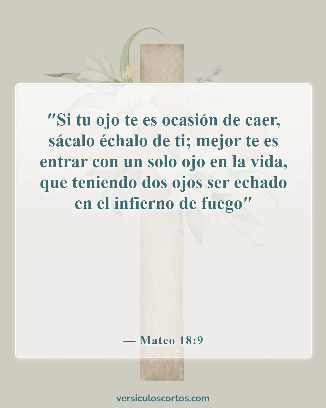 Versículos de la Biblia sobre la lujuria (Mateo 18:9)
