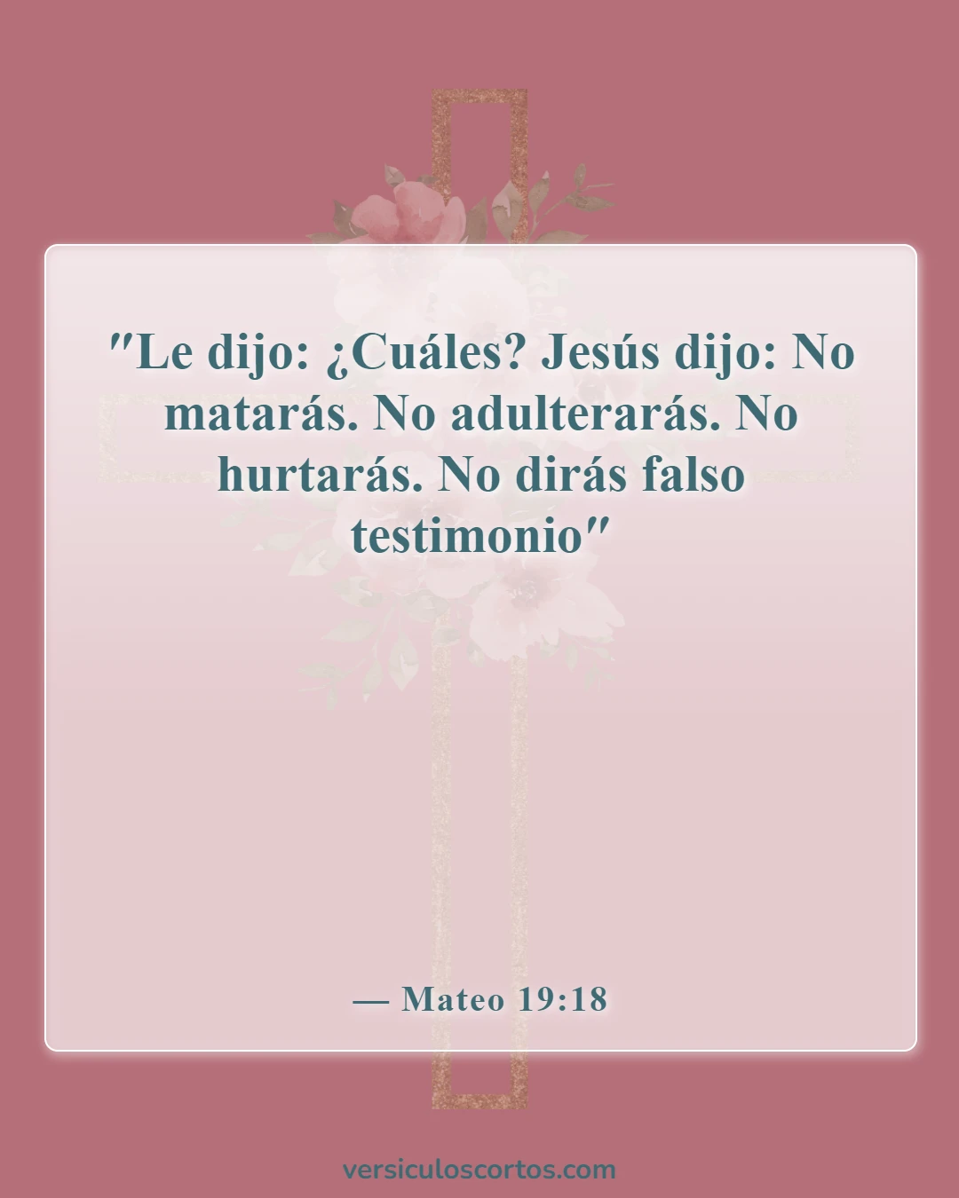 Versículos de la Biblia sobre matar (Mateo 19:18)
