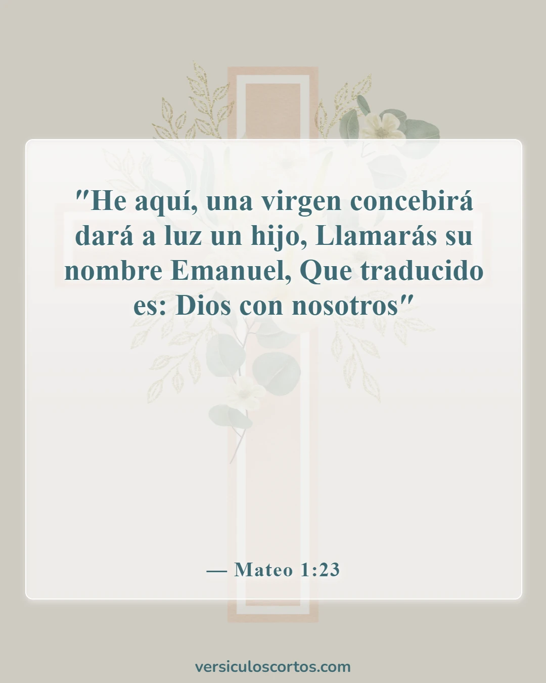 Versículos de la Biblia sobre Jesús como imagen de Dios (Mateo 1:23)