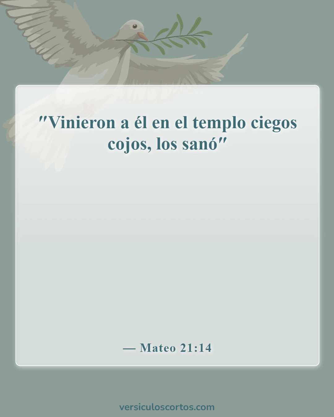 Versículos de la Biblia sobre la sanidad divina (Mateo 21:14)