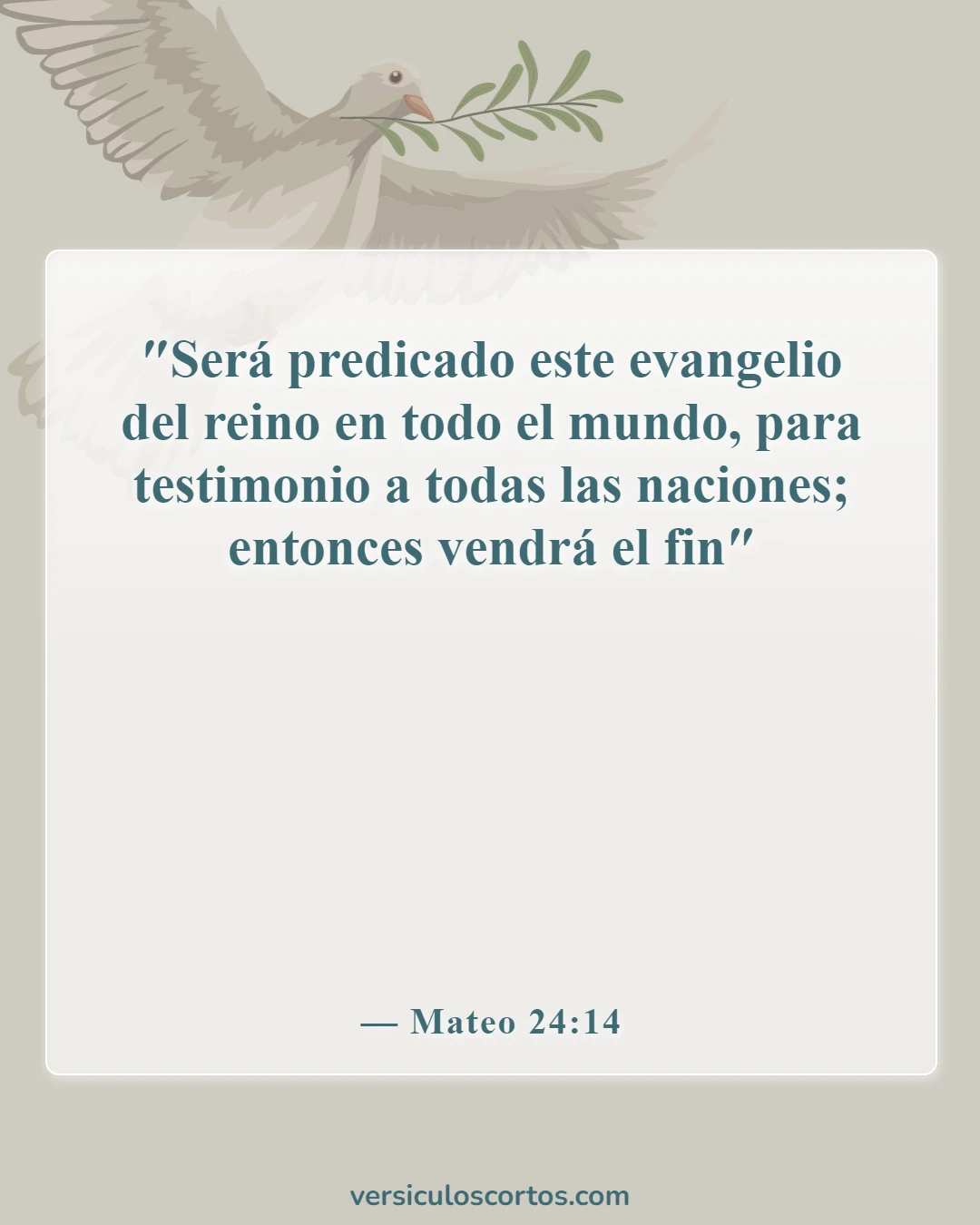 Versículos de la Biblia sobre Misiones (Mateo 24:14)
