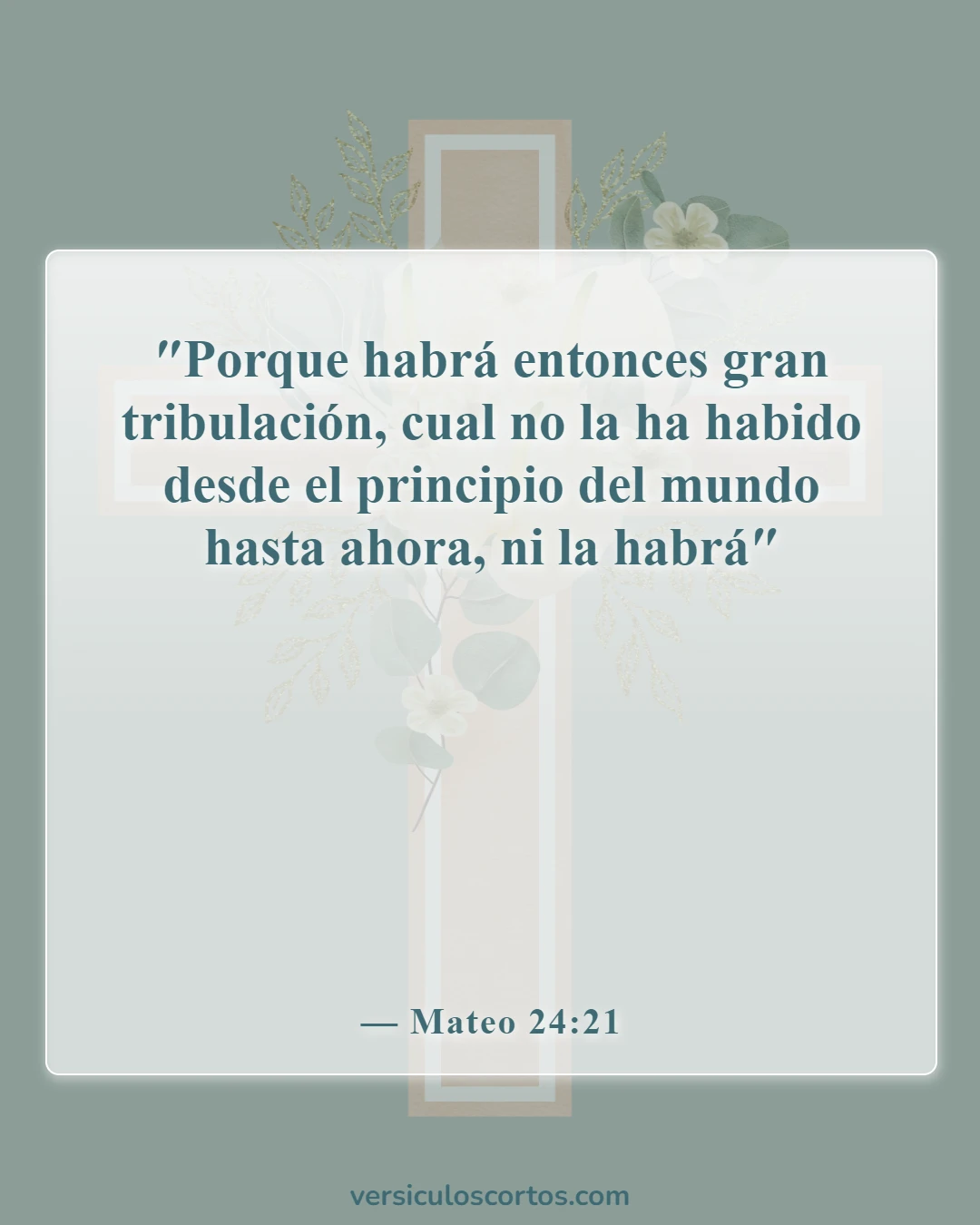 Versículos bíblicos sobre el fin del mundo (Mateo 24:21)