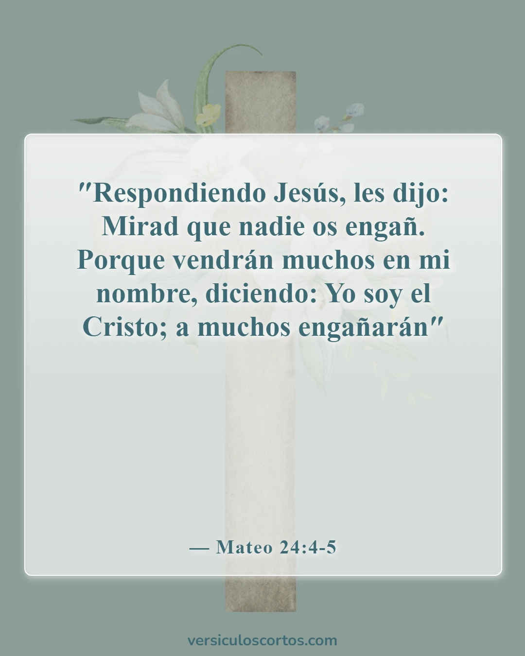 Versículos de la Biblia sobre la mala influencia (Mateo 24:4-5)