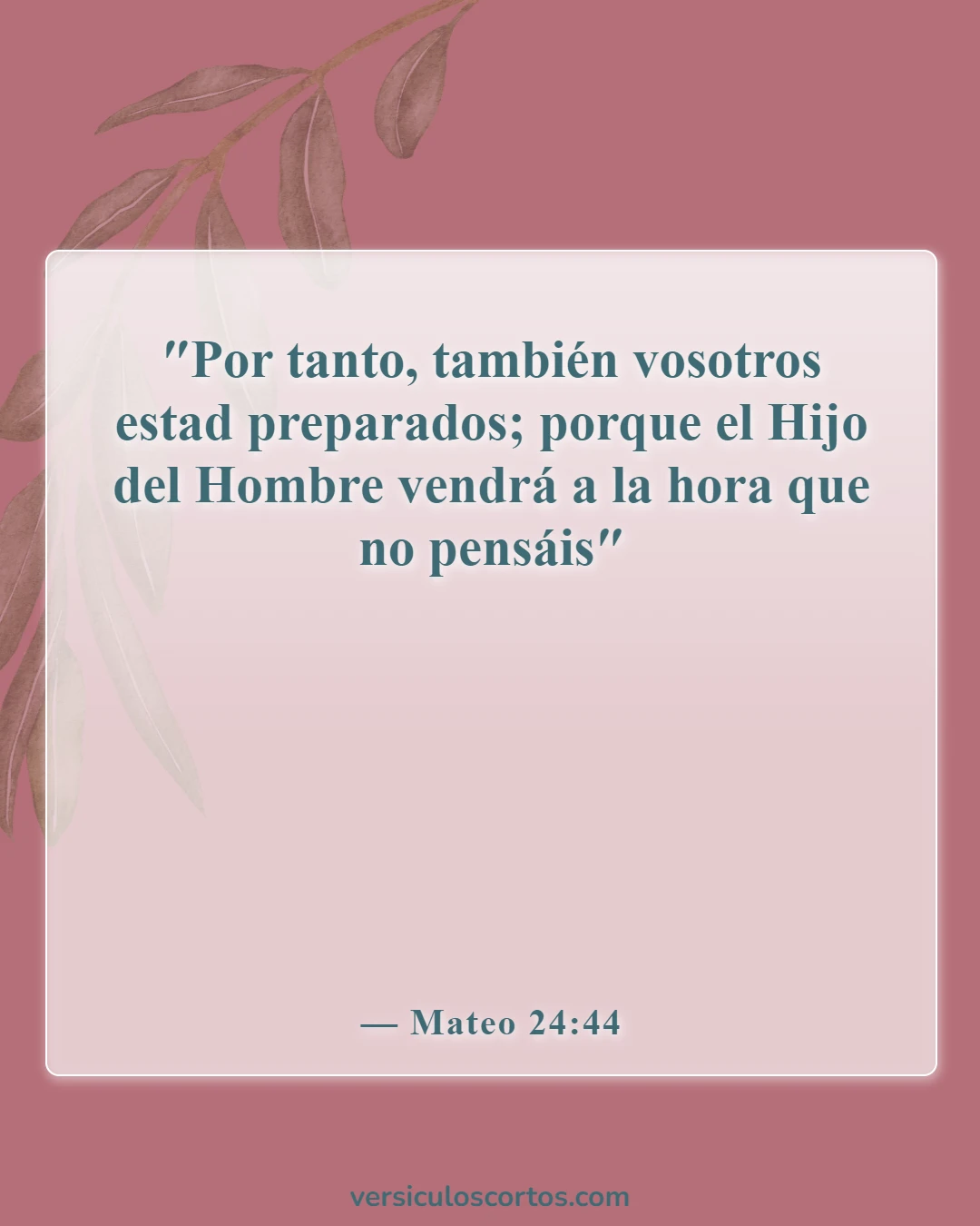 Versículos de la Biblia sobre la vuelta de Jesús (Mateo 24:44)