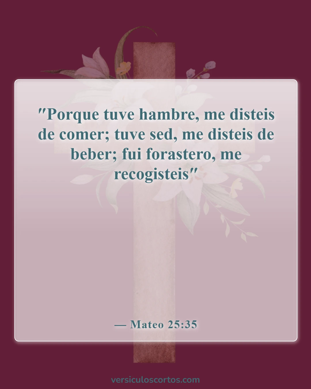 Versículos de la Biblia sobre la compasión hacia los demás (Mateo 25:35)