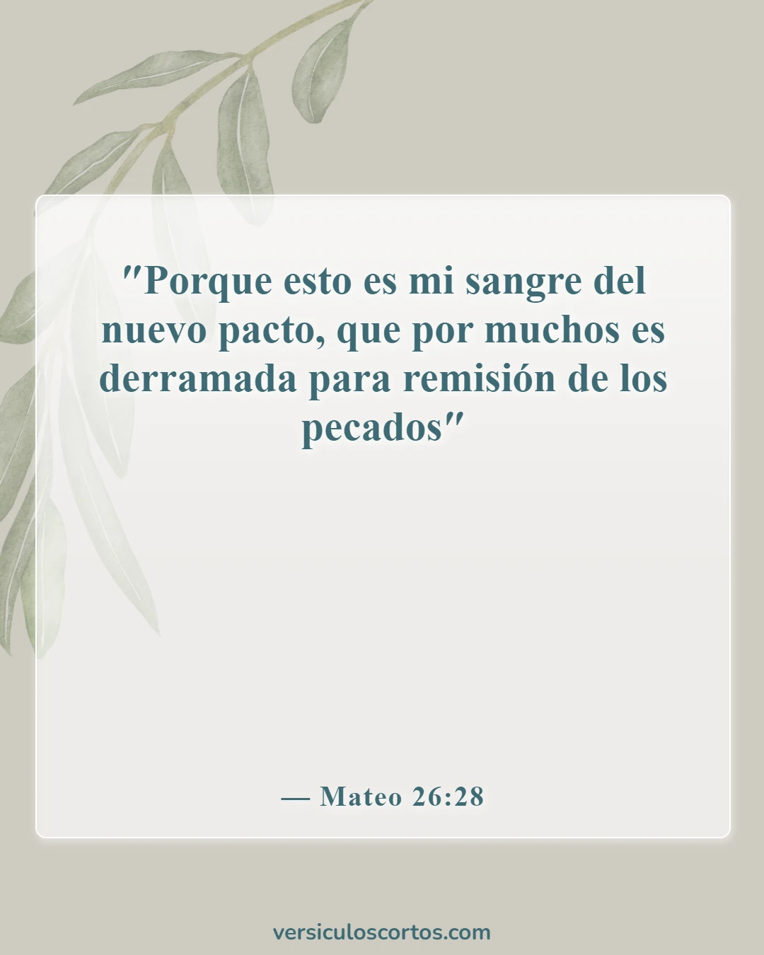 Versículos de la Biblia sobre la muerte de Jesús (Mateo 26:28)