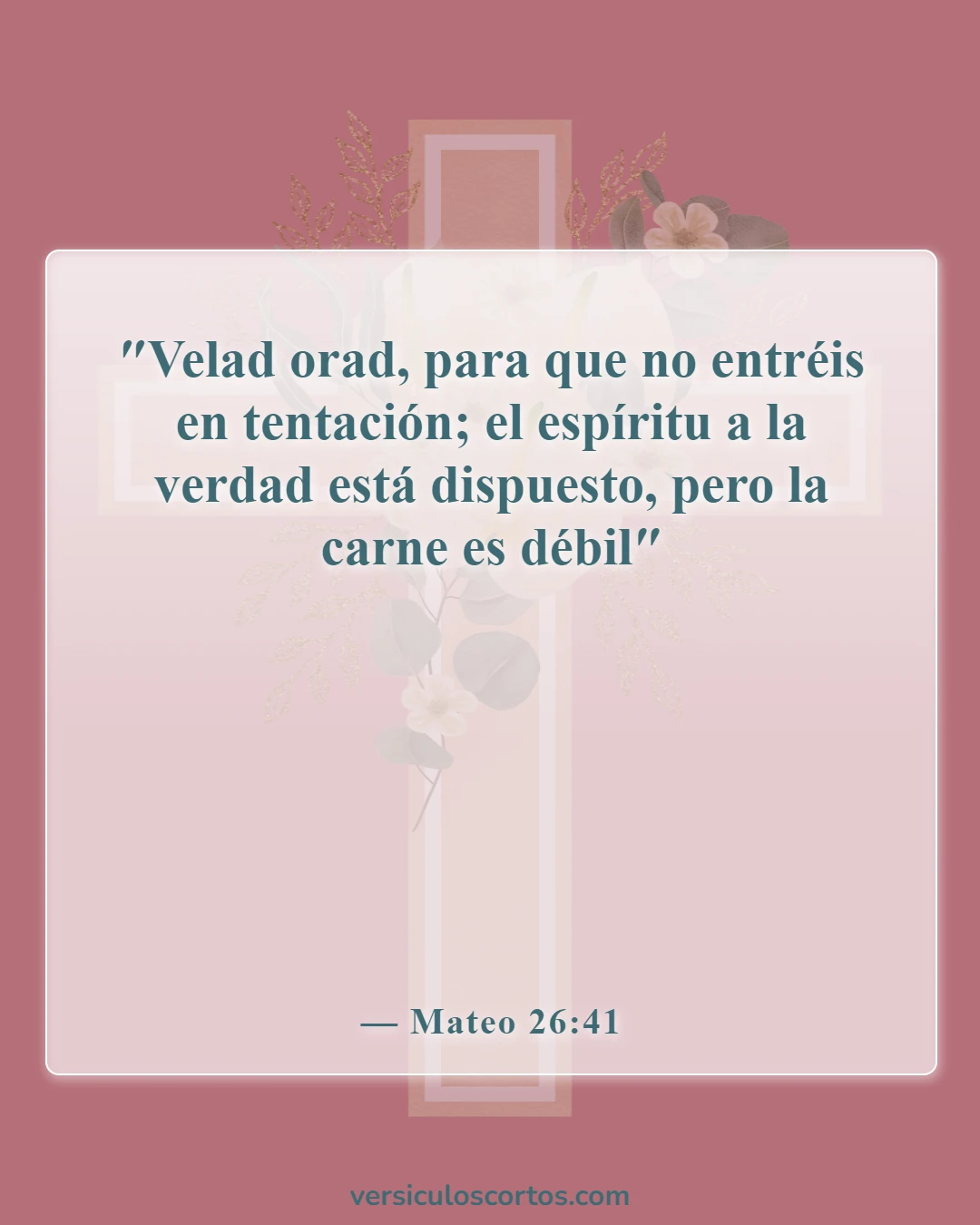 Versículos de la Biblia sobre las tentaciones (Mateo 26:41)