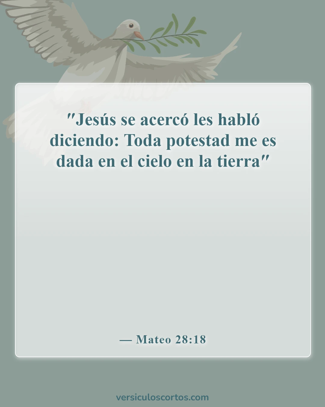 Versículos de la Biblia sobre Jesús como imagen de Dios (Mateo 28:18)
