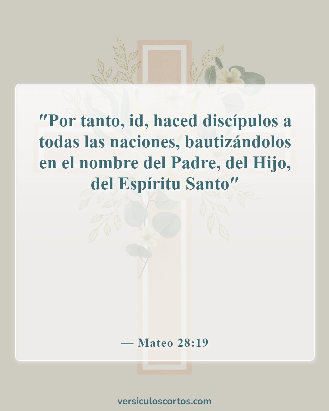Versículos de la Biblia sobre cómo ser salvo (Mateo 28:19)