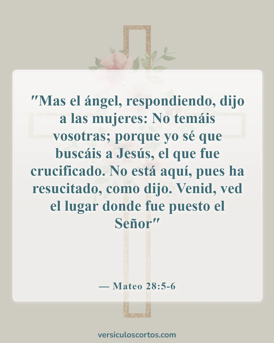 Versículos de la Biblia sobre la Resurrección de Cristo (Mateo 28:5-6)