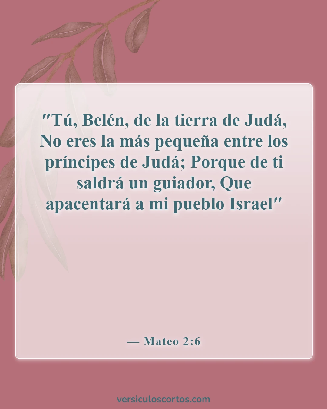 Versículos de la Biblia sobre la celebración de la Navidad (Mateo 2:6)