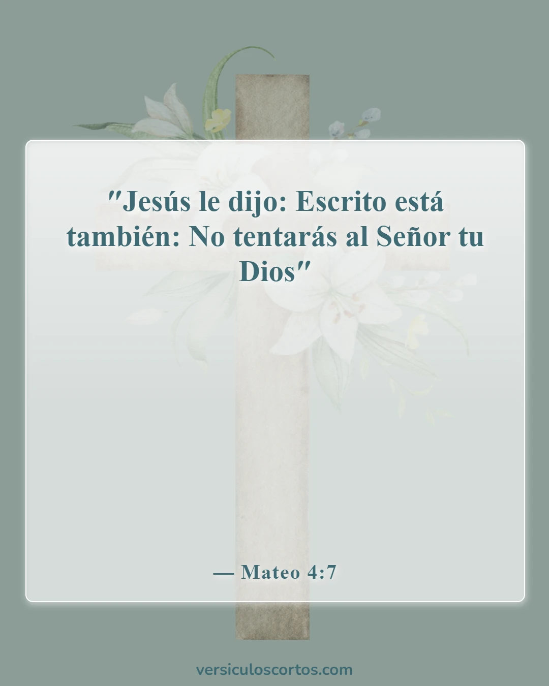Versículos de la Biblia sobre probar a Dios (Mateo 4:7)