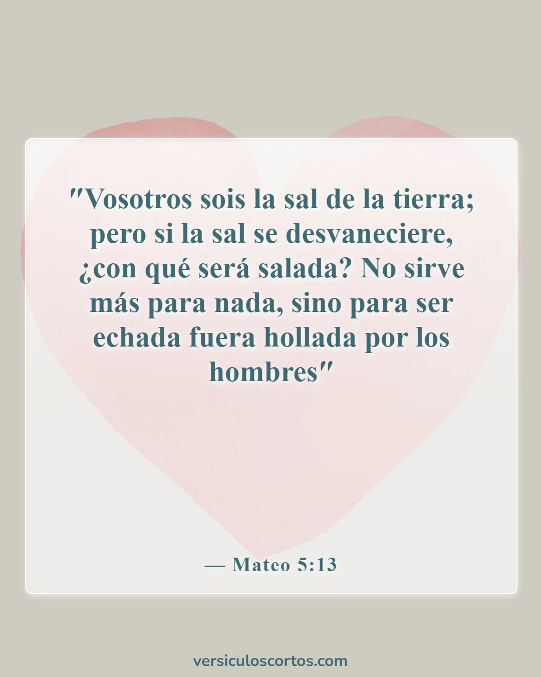 Versículos de la Biblia sobre salvar almas (Mateo 5:13)