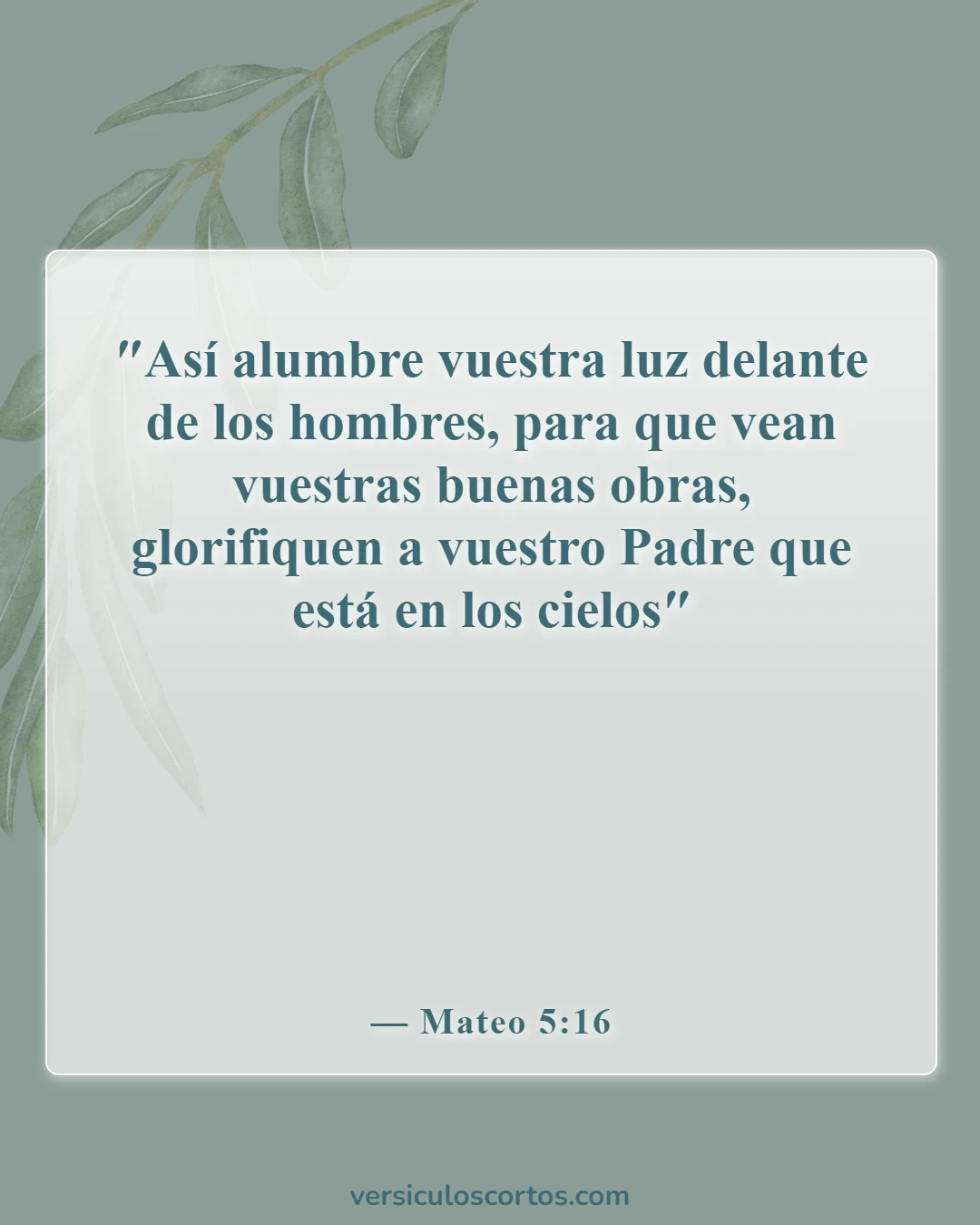 Versículos de la Biblia sobre la Apreciación de la Vida (Mateo 5:16)