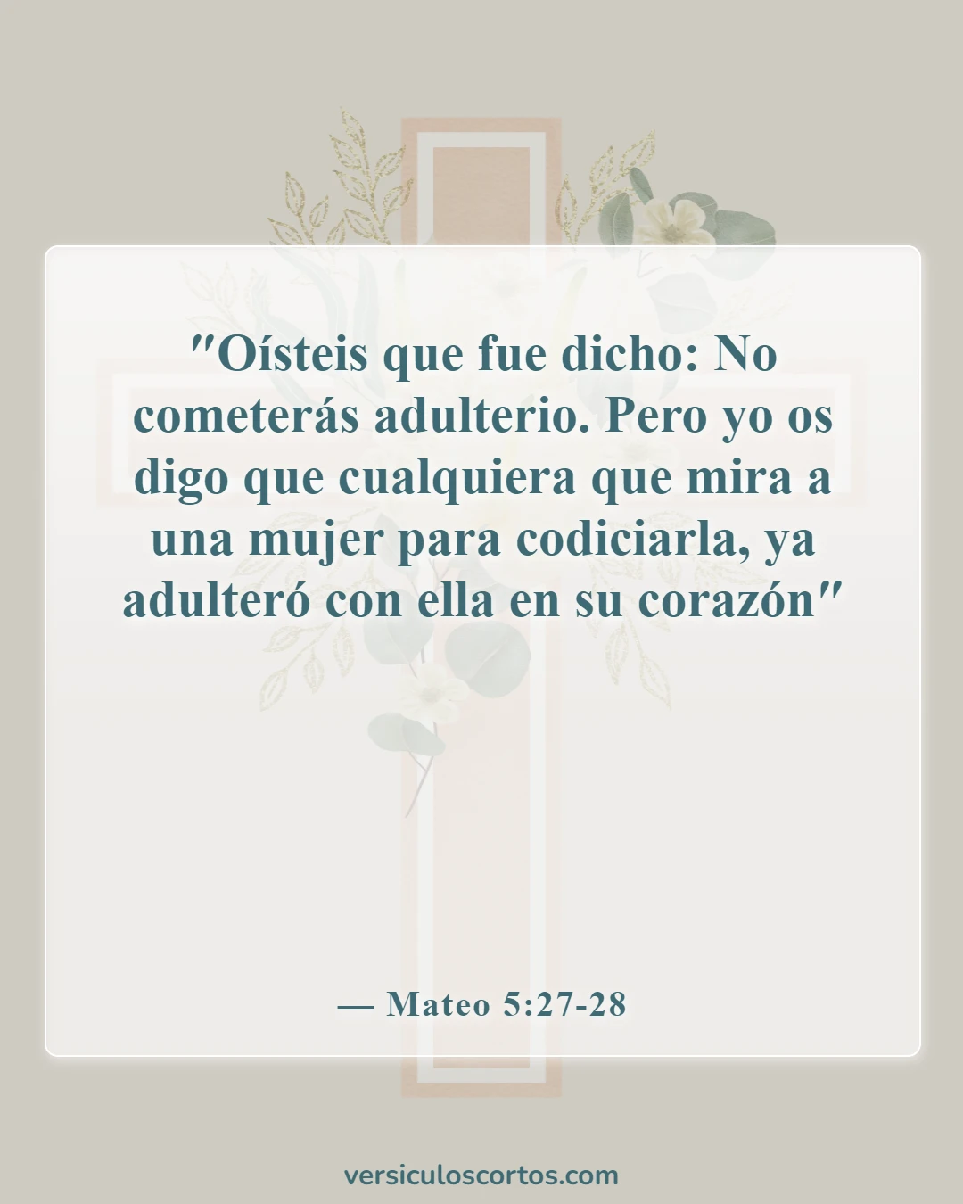 Versículos de la Biblia sobre el castigo por adulterio (Mateo 5:27-28)