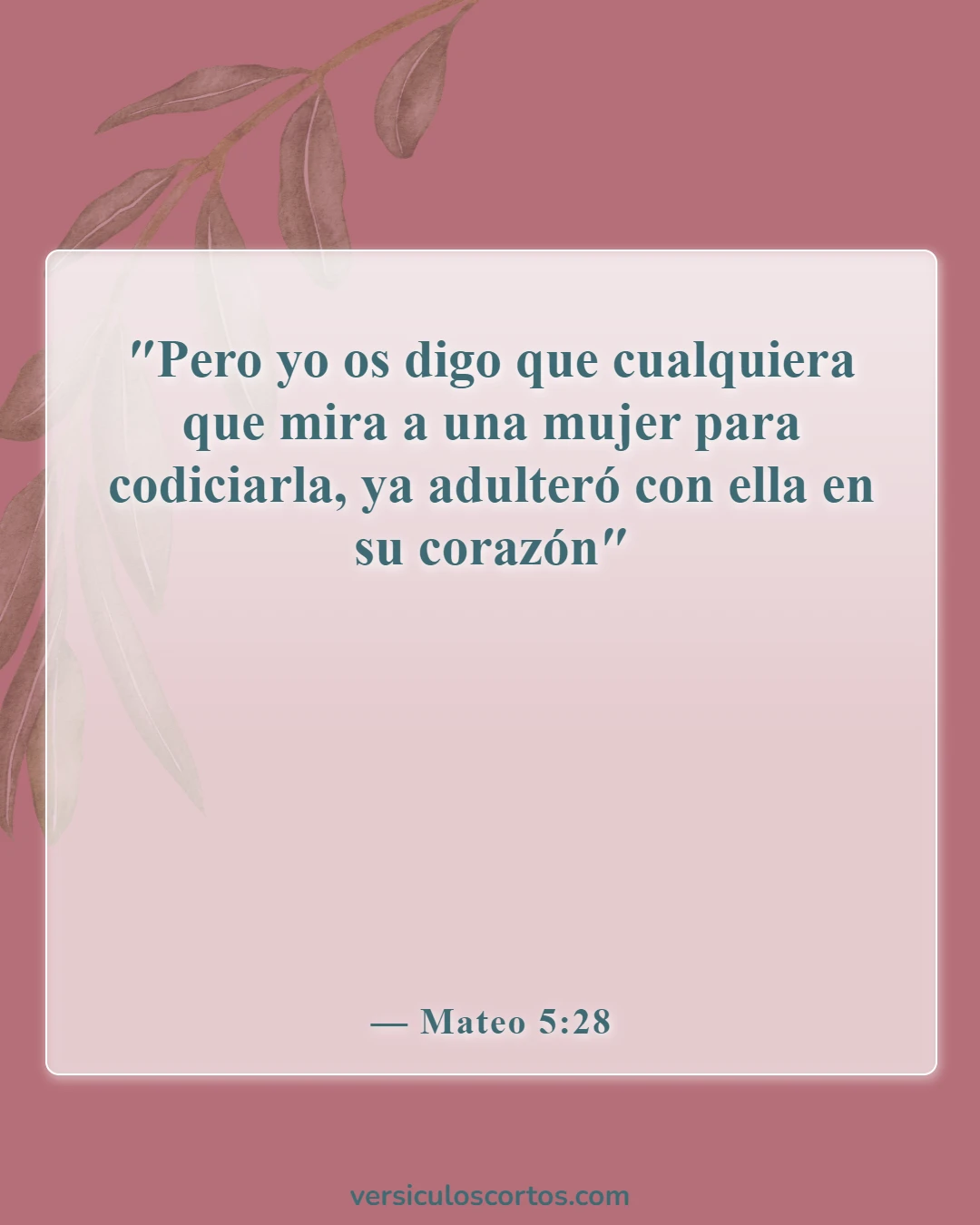 Versículos de la Biblia sobre cometer adulterio (Mateo 5:28)