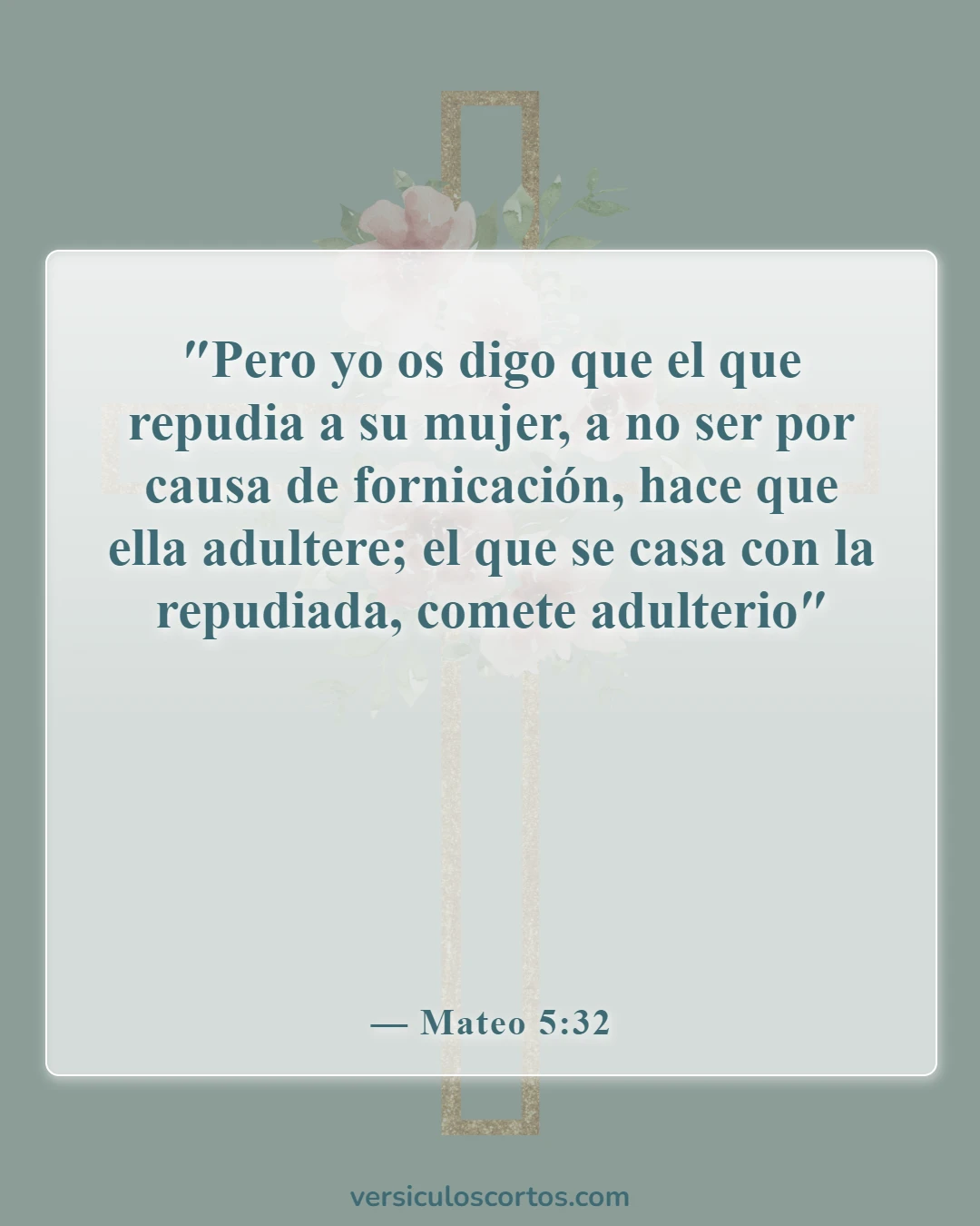 Versículos de la Biblia sobre el divorcio (Mateo 5:32)