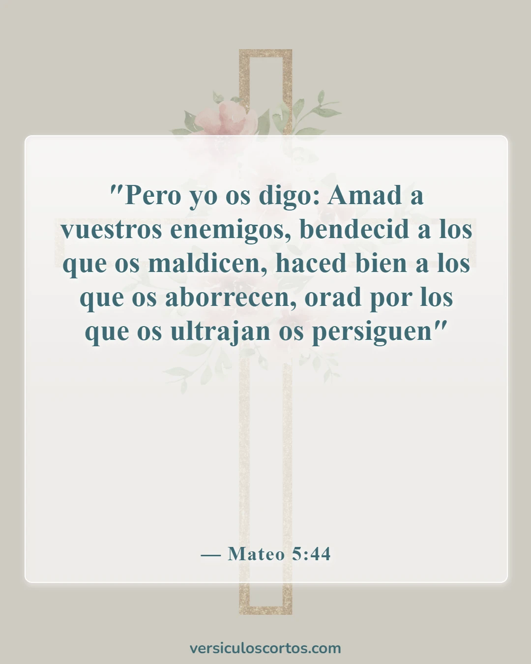 Versículos de la Biblia sobre perdonar a tus enemigos (Mateo 5:44)