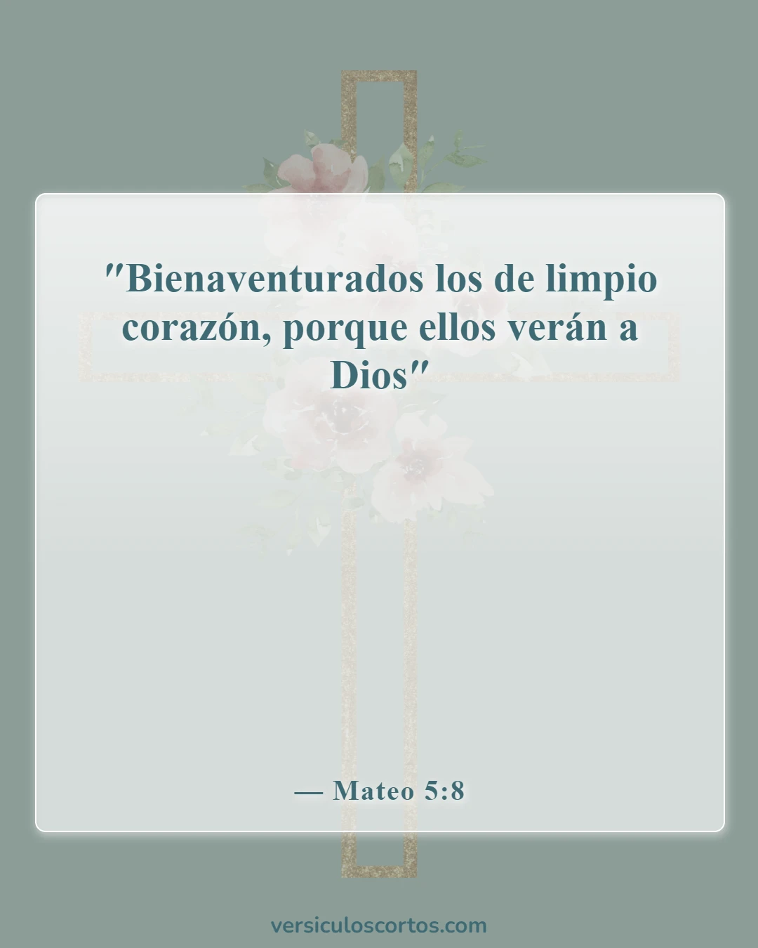 Versículos de la Biblia sobre el poder de la mente (Mateo 5:8)