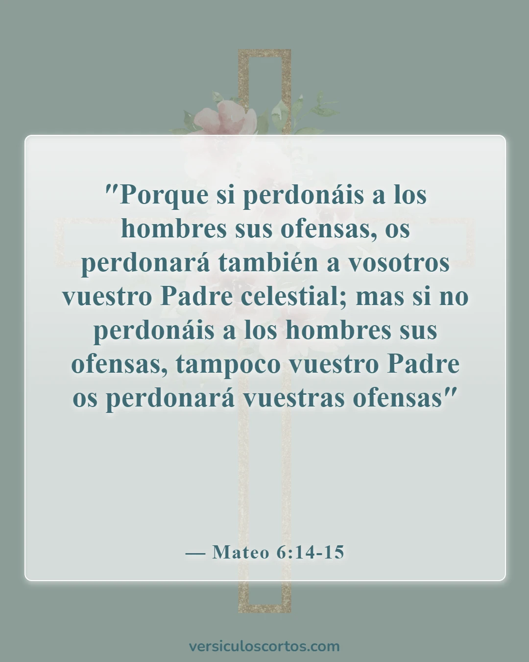 Versículos de la Biblia para parejas en tiempos difíciles (Mateo 6:14-15)