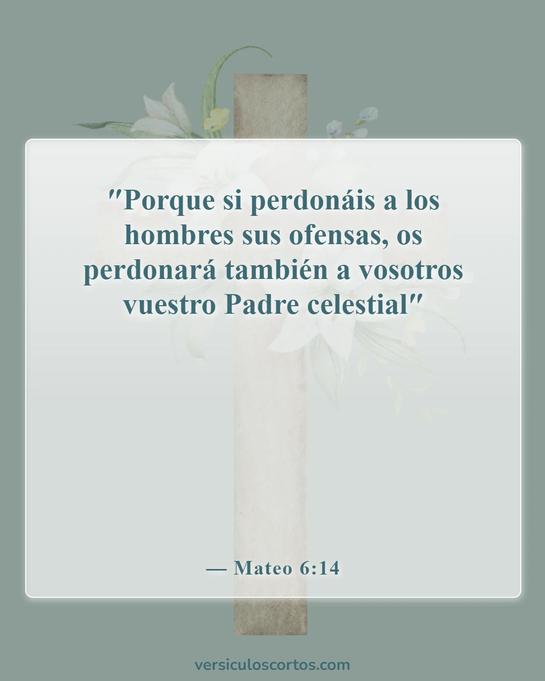 Versículos de la Biblia sobre perdonar a tus enemigos (Mateo 6:14)