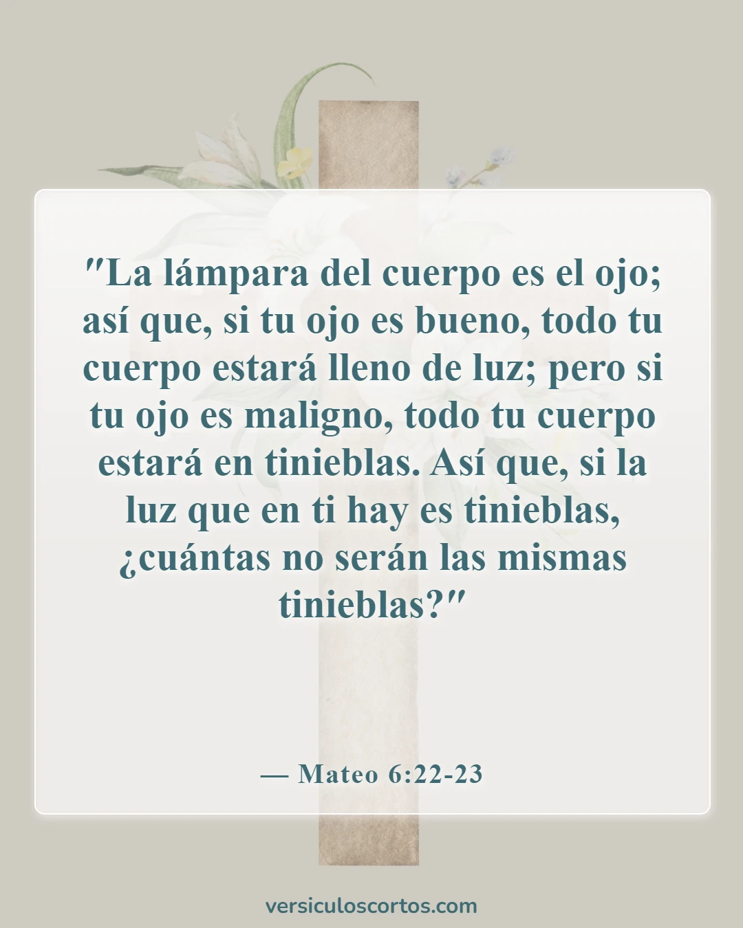 Versículos de la Biblia sobre la lujuria (Mateo 6:22-23)