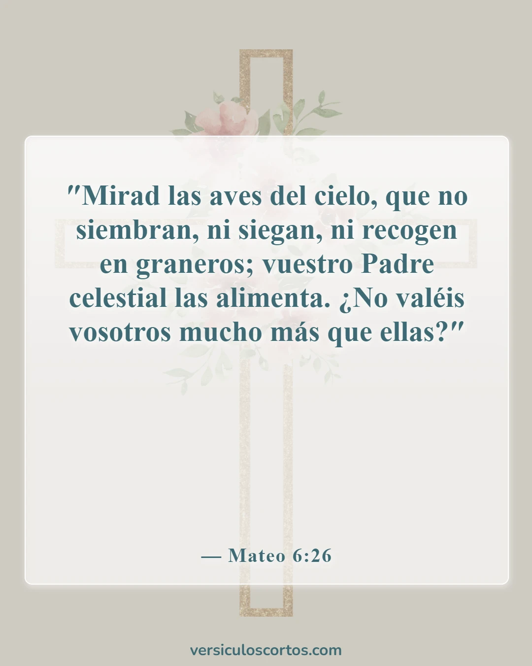 Versículos de la Biblia sobre matar animales (Mateo 6:26)