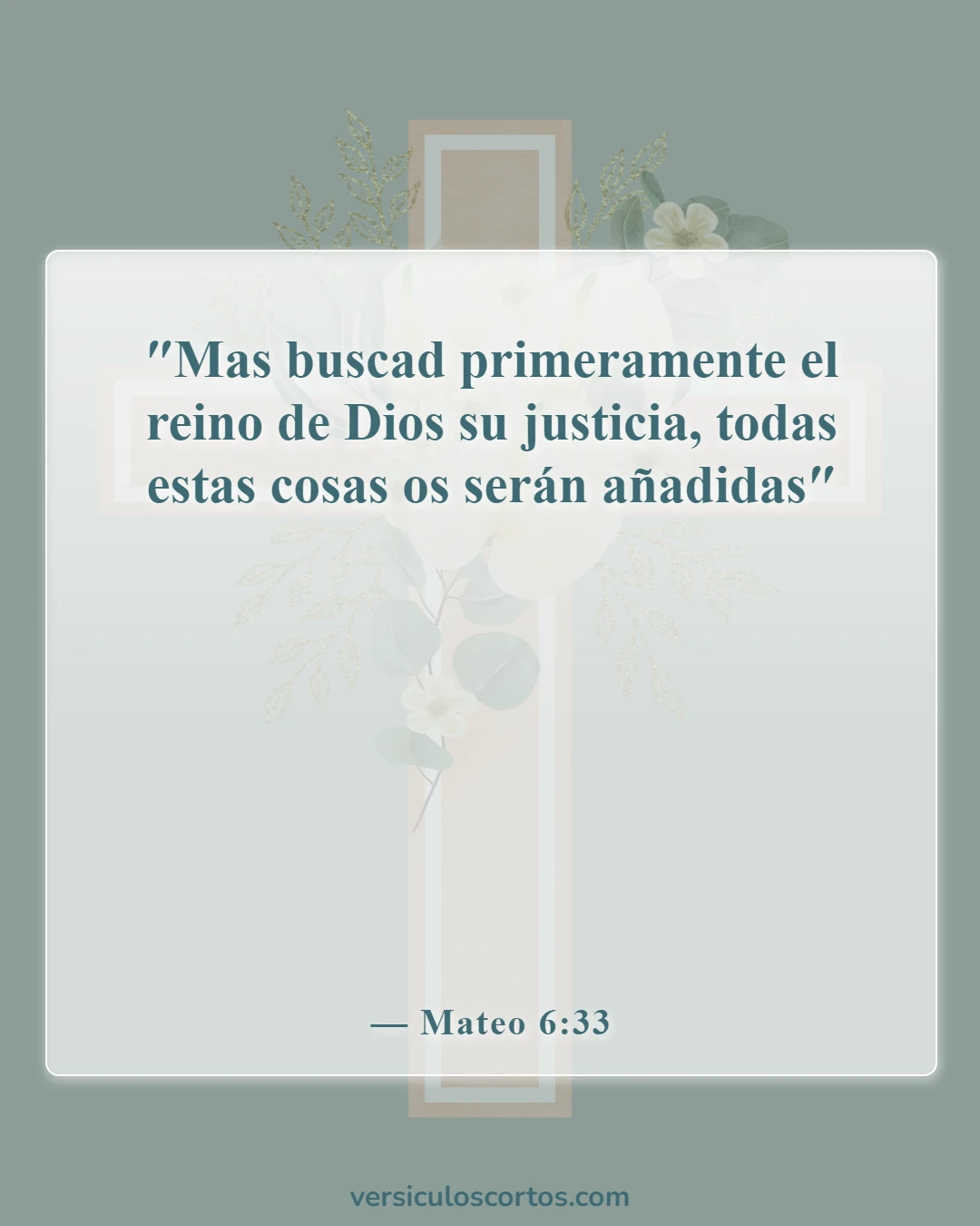 Versículos de la Biblia sobre el verdadero cristiano (Mateo 6:33)