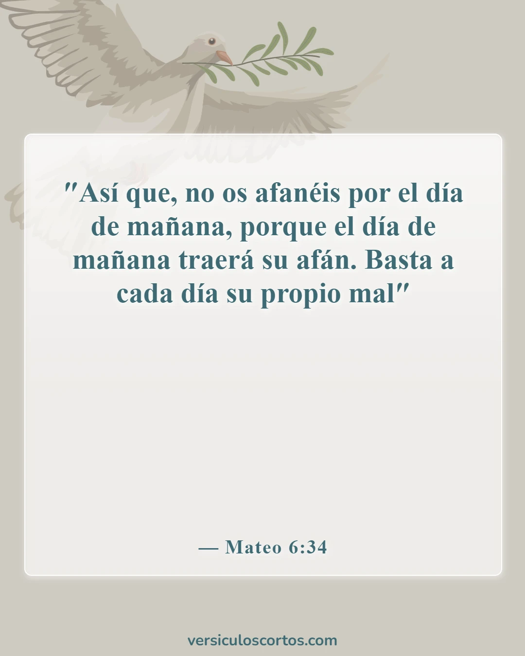 Versículos de la Biblia sobre la Apreciación de la Vida (Mateo 6:34)