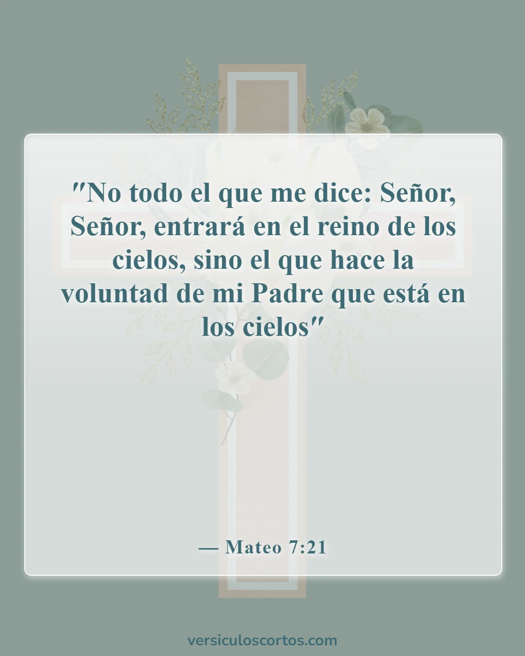 Versículos de la Biblia sobre el verdadero cristiano (Mateo 7:21)
