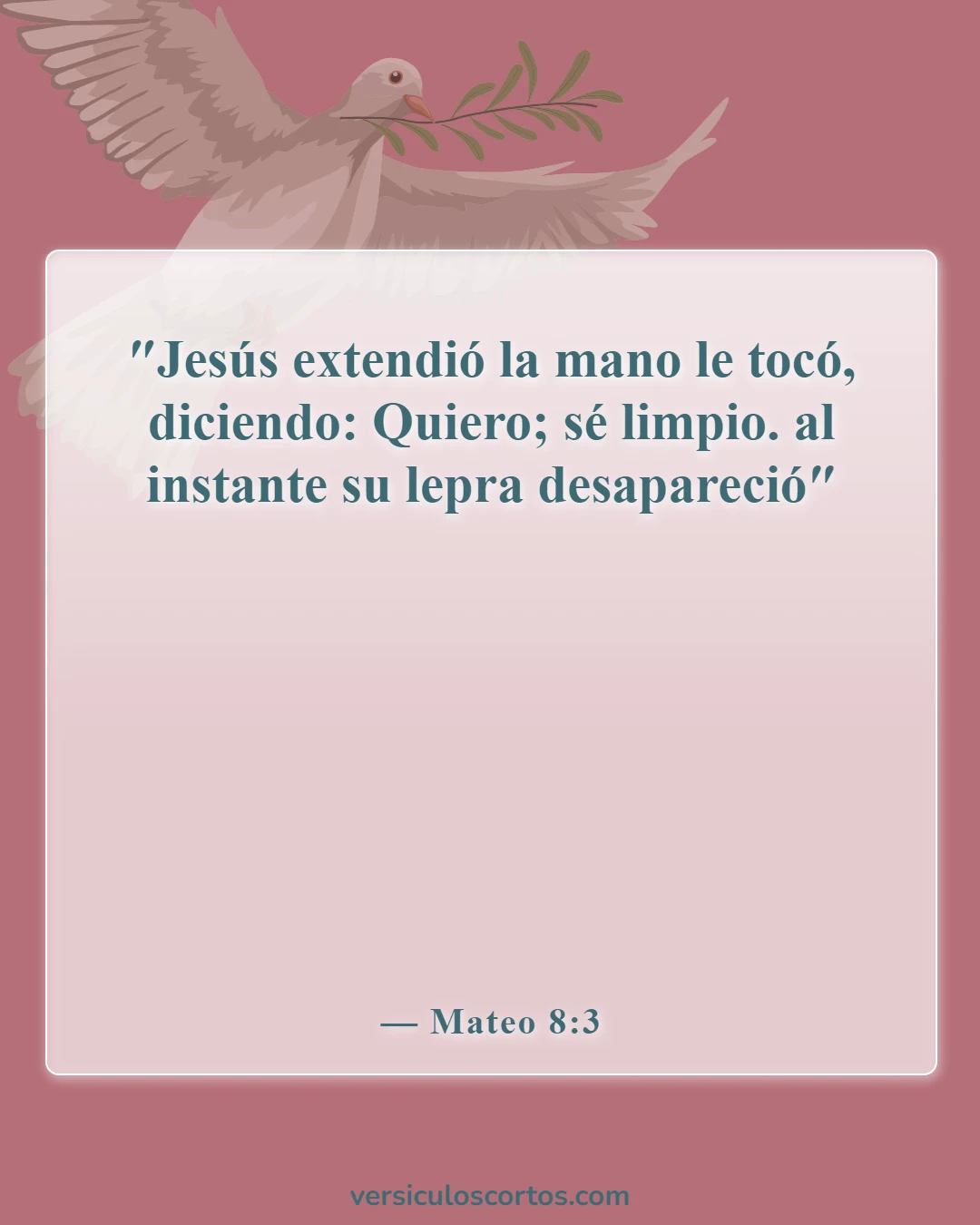Versículos de la Biblia sobre la sanidad divina (Mateo 8:3)